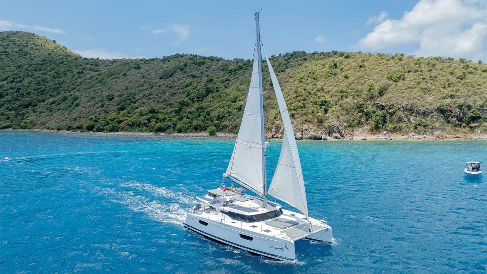 A sailing catamaran under sail alongside a wooded shore
