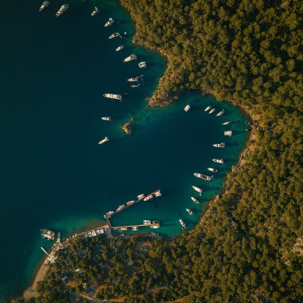 A sheltered bay from the air, boats moored along the pine shore