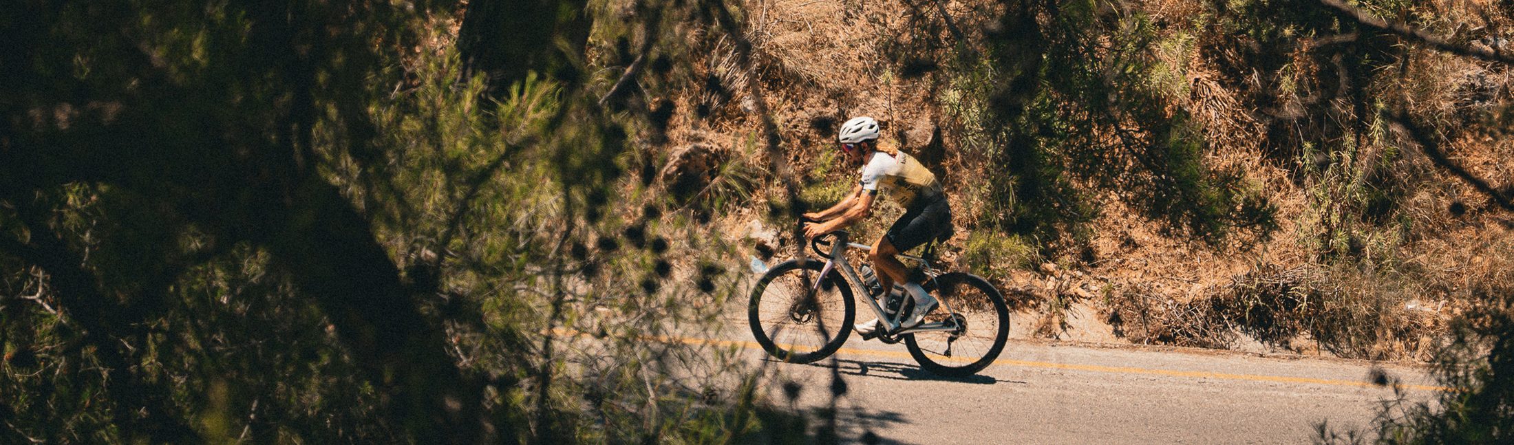 A rider on a quiet coastal road, framed by pines