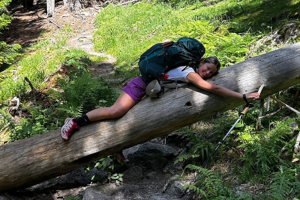 A rest on a fallen trunk, pack still on